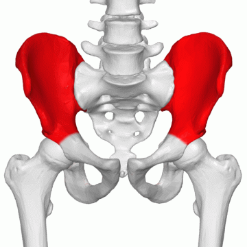 Ilium_02_animation.gif