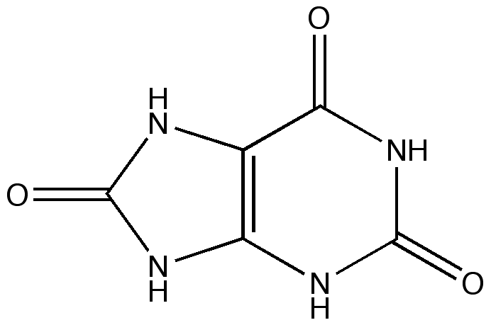 Podaqra